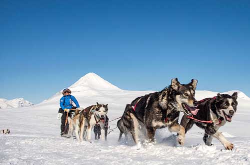 fjaellraeven polar 2019 aperte le candidature dal 15 11 al 13 12 01